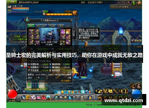 圣骑士宏的完美解析与实用技巧，助你在游戏中成就无敌之路