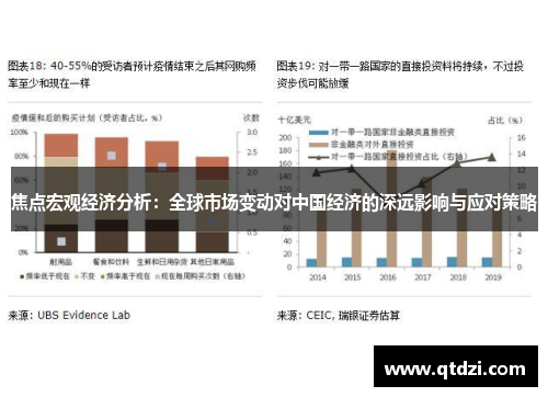 焦点宏观经济分析：全球市场变动对中国经济的深远影响与应对策略