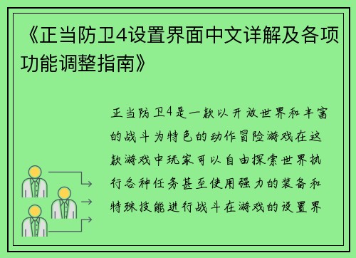 《正当防卫4设置界面中文详解及各项功能调整指南》